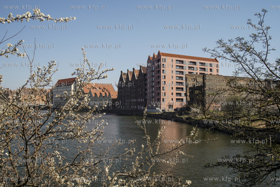 Gdańsk. Wyspa Spichrzów. Stare spichlerze oraz odrestaurowane...