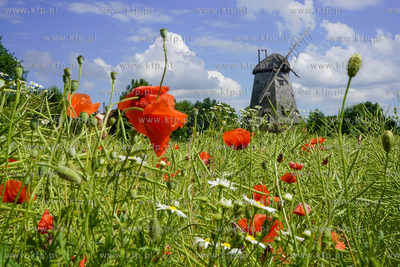 Drewniano - murowany zabytkowy wiatrak holenderski...