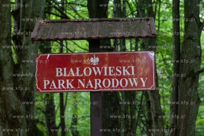 Białowieski Park Narodowy. 10.09.2019 / fot. Anna...