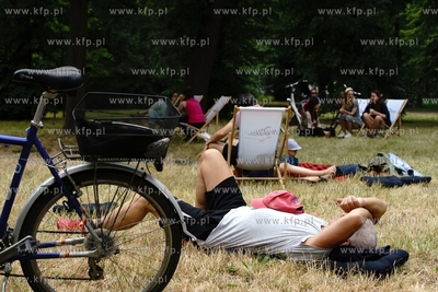 Święto Wielkiej Alei w Parku Steffensów. 26.06.2021...