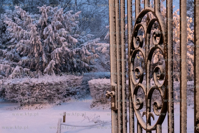Gdańsk Wrzeszcz. Park Kuźniczki. 15.01.2024 / fot....