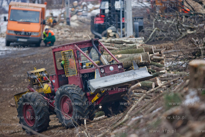 Gdansk. Oliwa. Wycinka drzew pod budowe Pomorskiej...
