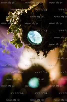 Gdansk. Festiwal artystycznych instalacji w przestrzeni...