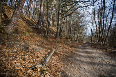 Gdansk. Oliwa, Trojmiejski Park Krajobrazowy. Sciezka...