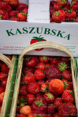 Gdansk. Plac przed siedziba Polskiego Zwiazku Wedkarskiego...