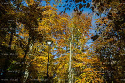 Gdansk. Jesienne, sloneczne przedpoludnie w Parku Orunskim.
27.10.2015
fot....