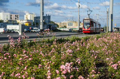 Gdańsk. Morena. Linia tramwajowa Piecki - Migowo....