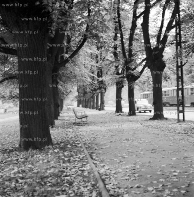 Gdansk Wrzeszcz. Aleja Zwyciestwa 1965 z0003462Fot....