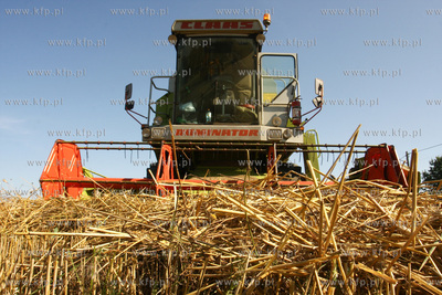 Chwaszczyno. Pierwszy tydzien zniw.  07.08.2009  fot....