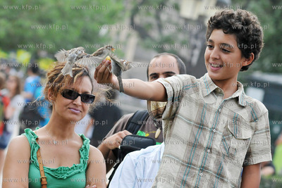 Dzieci karmia magdalenkami z reki ptaki na Placu Jana...