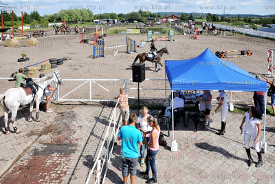 Stadnina koni MORINA w Redzie/Wejherowa. Towarzyskie...