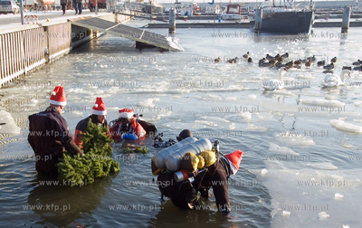 Gdynska Marina. Podwodne ubieranie choinki przez nurkujacych...