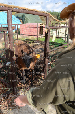 W Debogorzu Wybudowaniu (gmina Kosakowo), tuz przy...