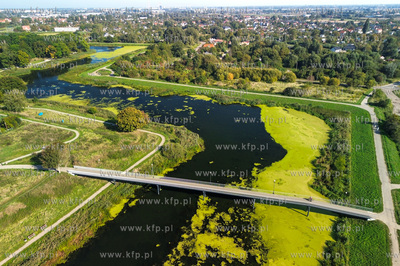 Opływ Motławy na Dolnym Mieście w Gdańsku. 
19.09.2024
fot....