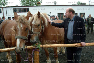 Maciej Plazynski na targu konnym w Opaleniu, k. Gniewu....