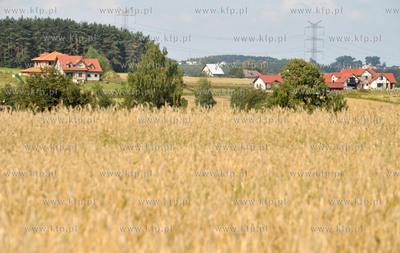 Sulmin wies na Kaszubach w gminie Zukowo, Pole zboza...