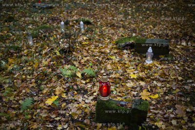 Dzień Wszystkich Świętych. Cmentarz ewangelicki...