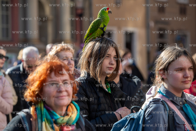 Długi Targ. Uroczystości z okazji 80. rocznicy powrotu...