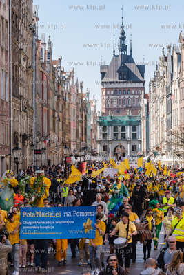 Gdańsk. Żonkilowa parada w ramach akcji Pola nadziei...