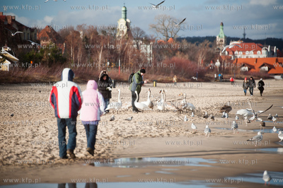 Plaza na granicy Gdanska i Sopotu w zimowe sloneczne...