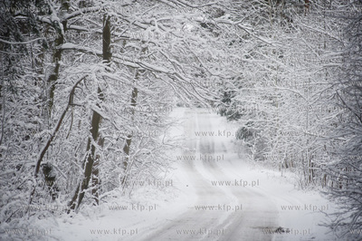 Ggansk. Gorki Zachodnie. Osniezony zimowy krajobraz...