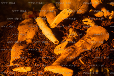 Gdansk. Park Centrum Hewelianum. XIX Miedzynarodowy...
