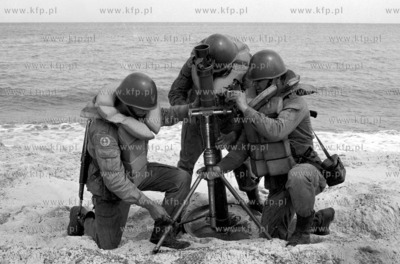 Żołnierze Ludowego Wojska Polskiego tzw. niebieskie...