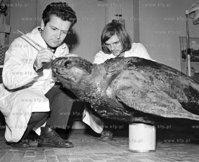Waldemar Nowy i Piotr Grabowski, pracownicy Muzeum...