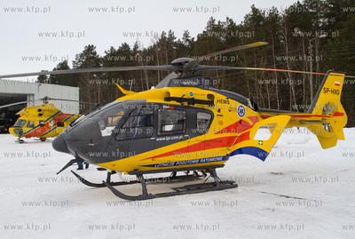 Gdansk, Rebiechowo. W dniu dzisiejszym przylecial nowy...