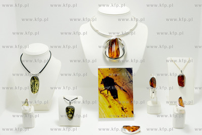 Amberif 2010. 17. Miedzynarodowe Targi Bursztynu, Bizuterii...