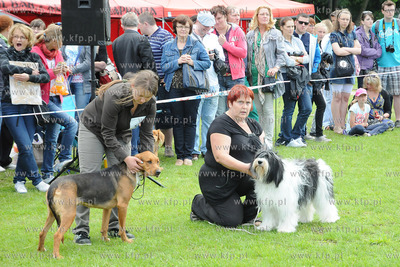 W Zespole Dworsko - Parkowym  w Gdyni Kolibkach odbyla...