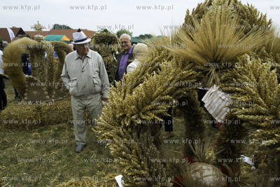 Dożynki Województwa Pomorskiego w Swołowie 
13.09.2015
Fot....