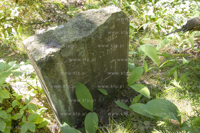 Cmentarz dawnej gminy żydowskiej w Skarszewach, założony...