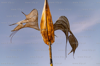 Gdańsk, Prezydenta Ronalda Reagana. XXVI Międzynarodowy...