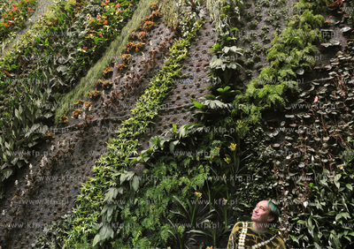 Galeria Przymorze, nowe centrum handlowe w Gdansku...