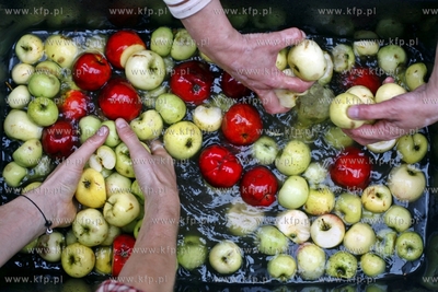 Żuławski Park Historyczny w Nowym Dworze Gdanskim....