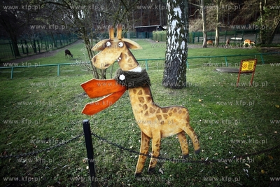 W gdanskim zoo  ustanawiany jest rekord Guinnessa....