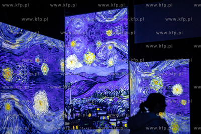 Amber Expo. Multimedialna Wystawa Van Gogh.
13.12.2022
fot....