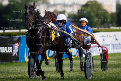 Wyscigi konne na sopockim hipodromie.
Nz wyscig klusakow
14.07.2013
fot....