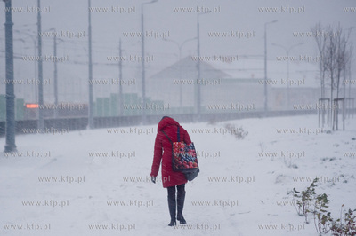 Gdansk. Os. Pogodne. Porywisty wiatr oraz silne opady...