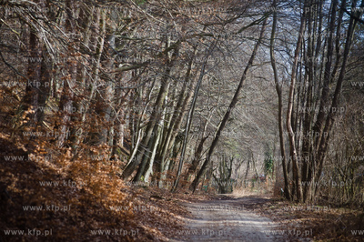 Gdansk. Oliwa, Trojmiejski Park Krajobrazowy. Sciezka...