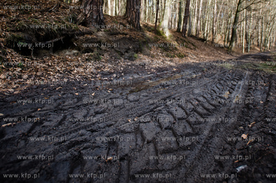 Gdansk. Oliwa, Trojmiejski Park Krajobrazowy. Sciezka...