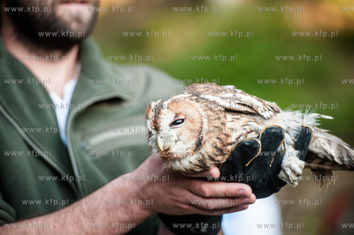 Gdansk. Oliwa. Lesniczowka Wroblowka. Wypuszczenie...