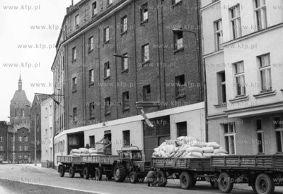 Mlyn na ul. Tartacznej w Gdansku. Na początku XXI...