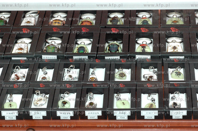 Gadzety z Jarmarku Dominikanskiego 
Breloczki ze skorpionami,...