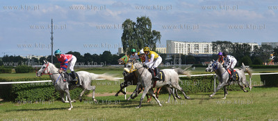 Wyscigi konne na sopockim Hipodromie. 17.07.2016 fot....