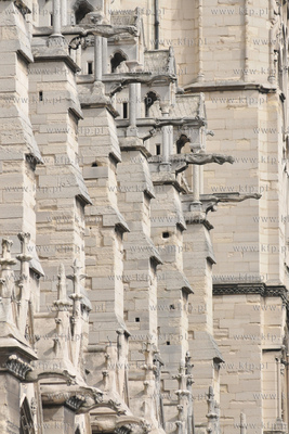 Paryż Wyspa Cite z Placem Św Jana Pawla II.  Katedra...