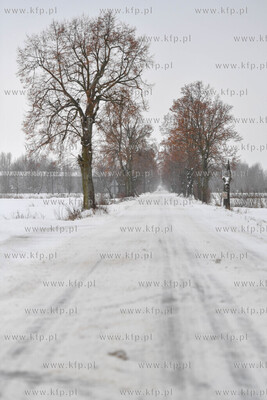Zima na Żuławach.  Zaśniezone drogi. 16.01.2021...
