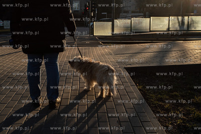 Gdańsk. Spacer z psem. 10.03.2022 / fot. Anna Rezulak...