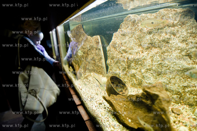 Sopot. Budynek dawnego klubu nocnego Enzym. Nowo otwarte...